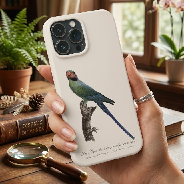 La Perruche a nuque et joues rouges (Long-Tailed Parakeet, Psittacula Longicauda. iPhone Case)