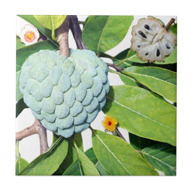 La pomme-cannelle - Verre à shot (Frente)