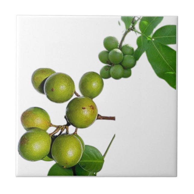 La quenette  (Frente)