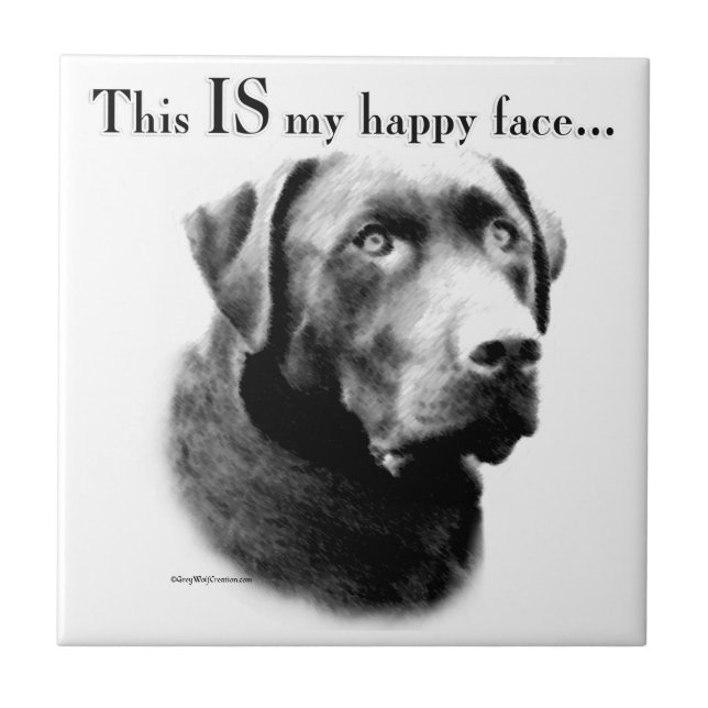 Lab Face Feliz (Frente)