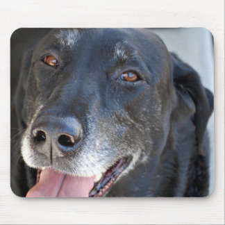 Laboratório Mousepad