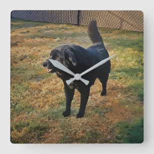 Laboratório Preto No Relógio Da Parede Do Sol Em Q