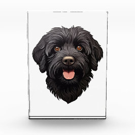 Labradoodle Black Dog