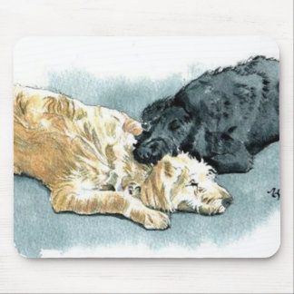 Labradoodles no amor Mousepad