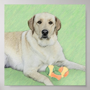 Labrador Amarelo - Impressão de Retriever e Têni