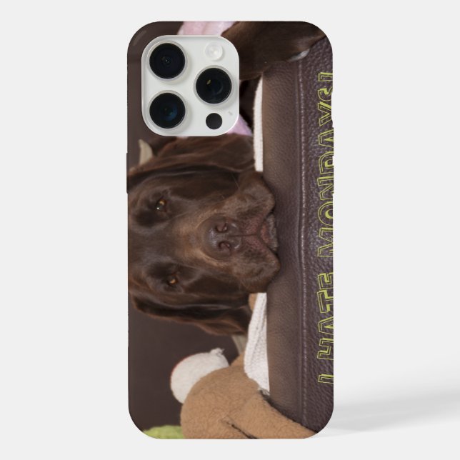 Labrador Chocolate Sonolento Com Brinquedos (Verso)