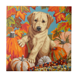Labrador Cujo Retriever Puppy Colheita de outono