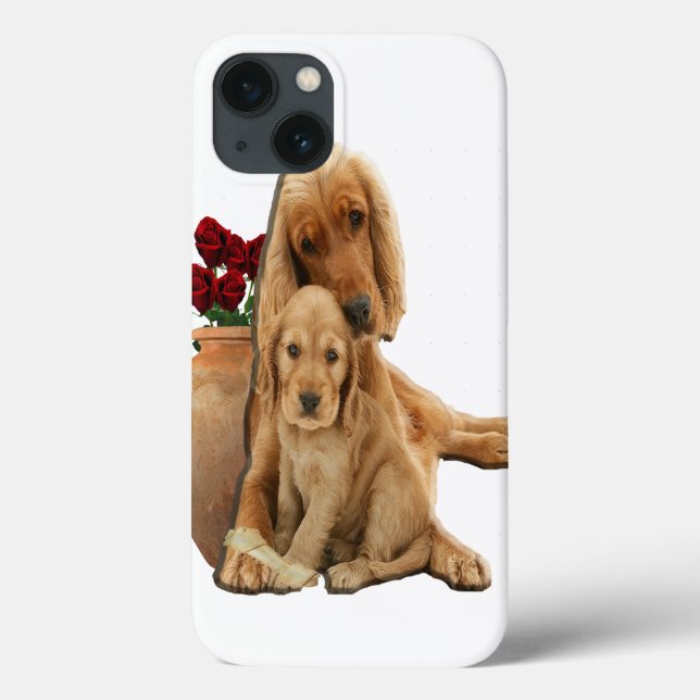 Labrador e cachorros (Verso)