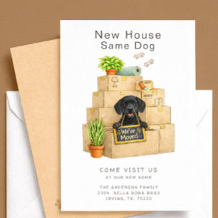 Labrador Preto Anúncio de Mudança para Nova Casa