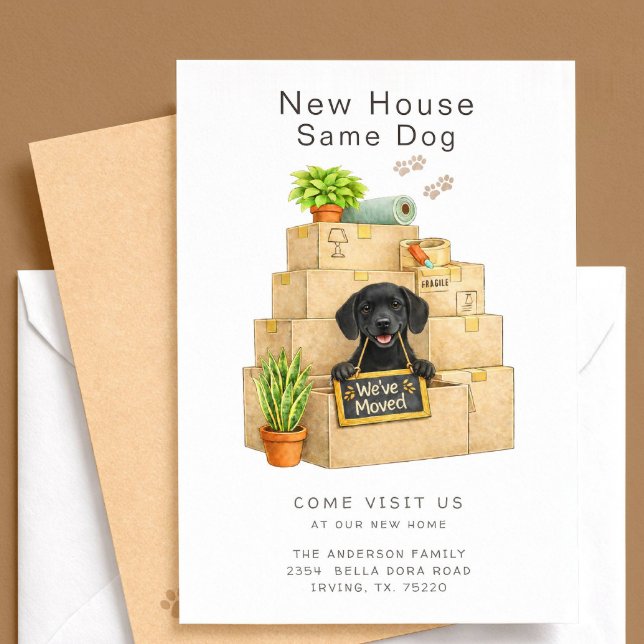 Labrador Preto Anúncio de Mudança para Nova Casa (Criador carregado)