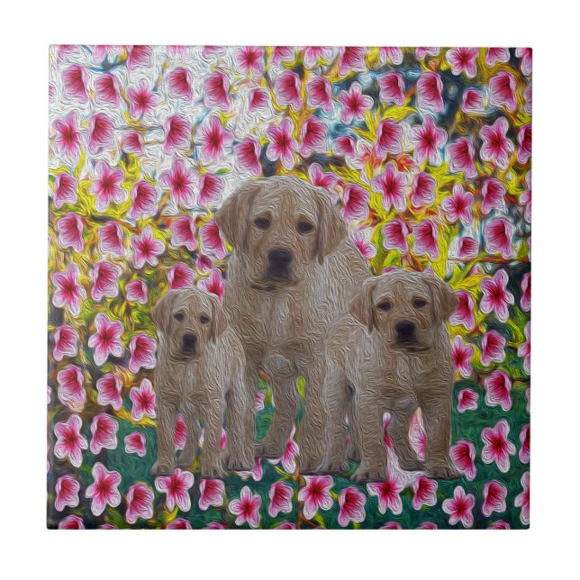 Labrador Puppies Oil Paint, (Frente)