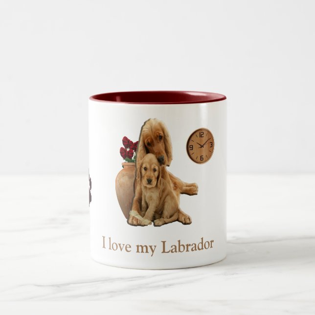 Labrador recupera caneca de café (Centro)