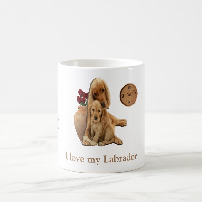 Labrador recupera caneca de café (Centro)