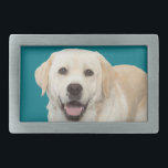 Labrador recuperador 1<br><div class="desc">Labrador recuperador 1</div>
