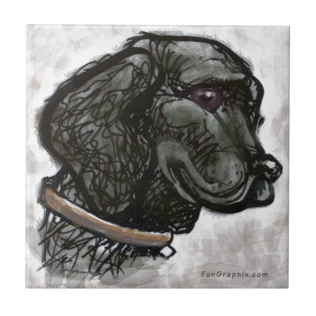 Labrador Retriever (Frente)
