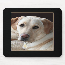 Labrador retriever amarelo Mousepad