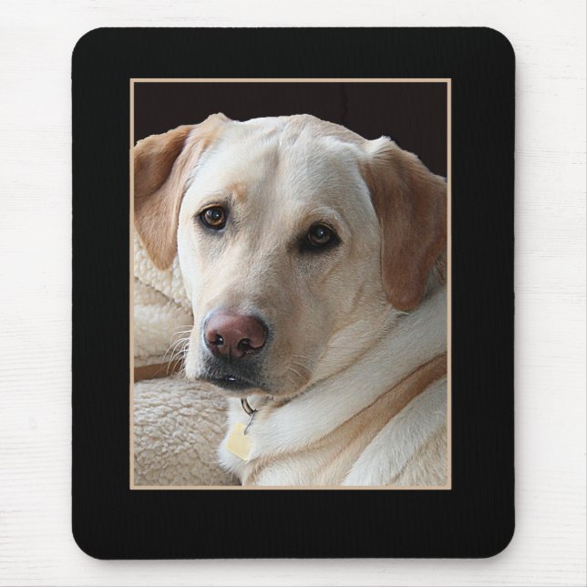 Labrador retriever amarelo Mousepad (Frente)