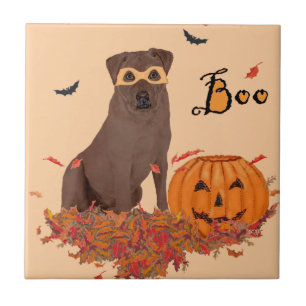 Labrador Retriever Chocolate Boo!
