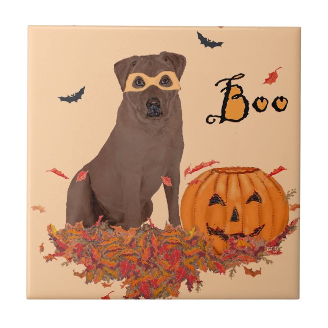 Labrador Retriever Chocolate Boo! (Frente)