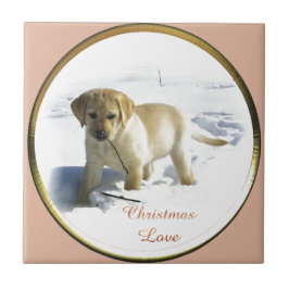 Labrador Retriever Christmas
