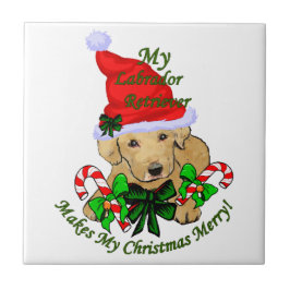 Labrador Retriever Christmas