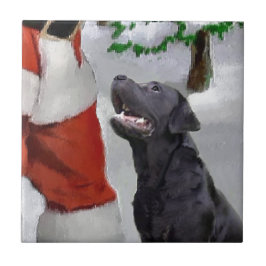 Labrador Retriever Christmas