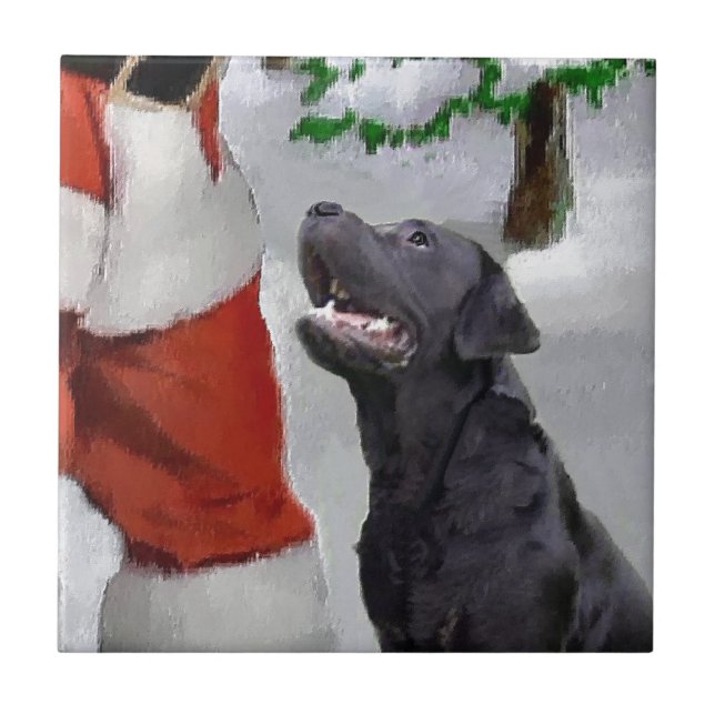 Labrador Retriever Christmas (Frente)