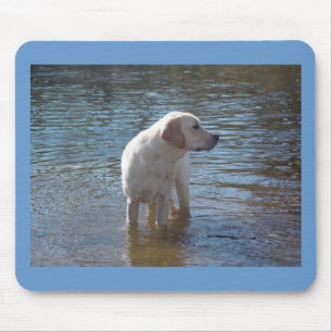 Labrador retriever Mousepad no lago