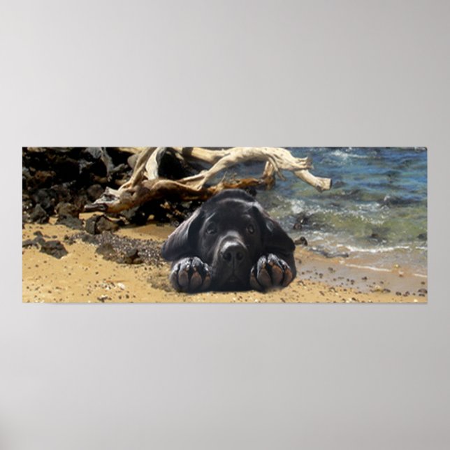 Labrador Retriever Poster Beach (Frente)