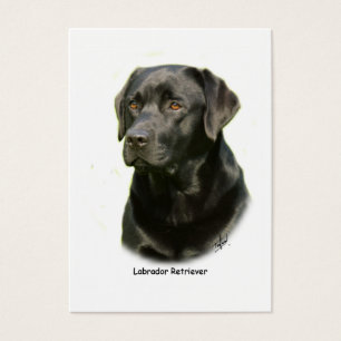 Labrador retriever preto