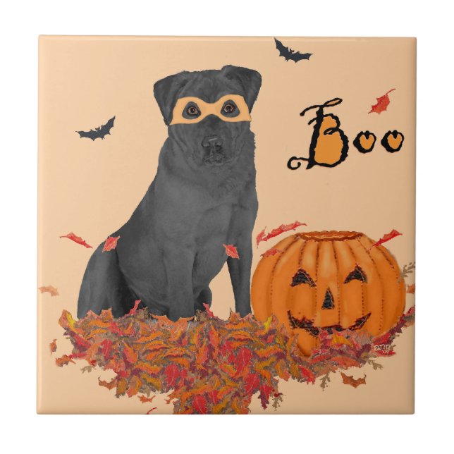 Labrador Retriever Preto Boo! (Frente)