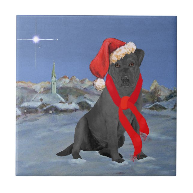 Labrador Retriever Preto de Natal (Frente)