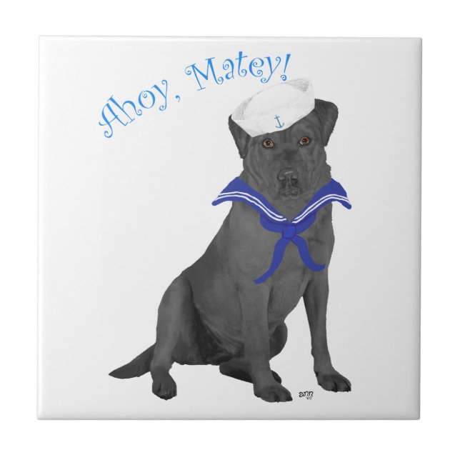 Labrador Retriever Preto Marinheiro (Frente)