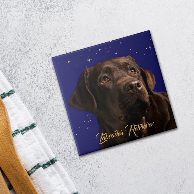 Labrador Retriever Retrato Starry Sky Fundo (Criador carregado)