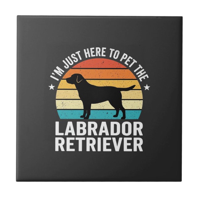 Labrador Retriever Retro Cão Acariciando (Frente)