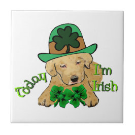 Labrador Retriever St Pattys