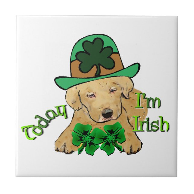 Labrador Retriever St Pattys (Frente)