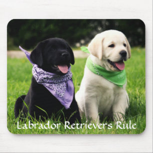 Labrador Retrievers Regra Puppies Mousepad