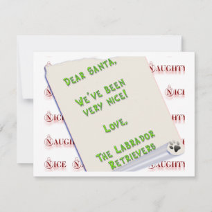 Labradores naught e nice