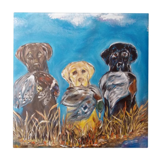 LABRADORES RETRIEVERS (Frente)