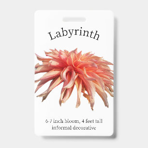 Labyrinth Dahlia ID Crachá