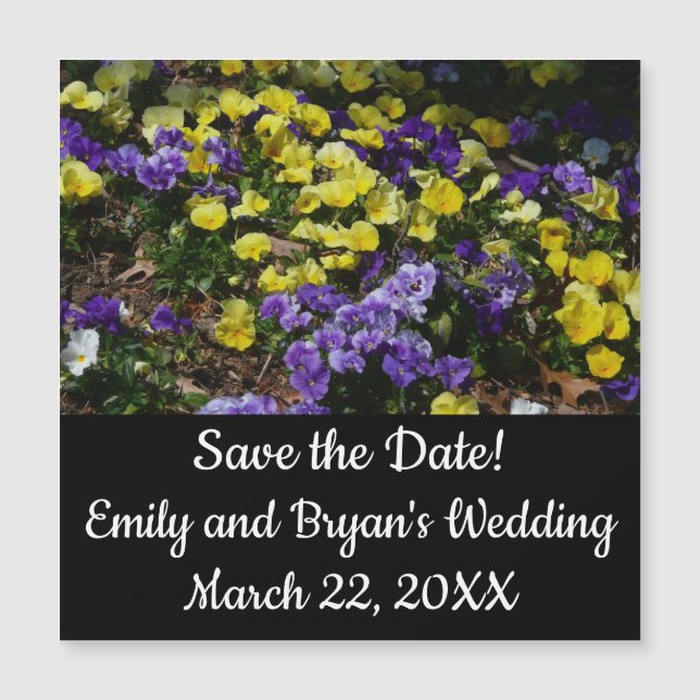 Lado da colina de Panteras Roxas e Amarelas (Frente)