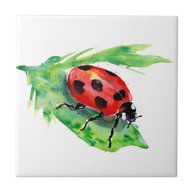 Lady Bug em uma Folha Verde (Frente)