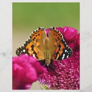 Lady Butterfly Pintada