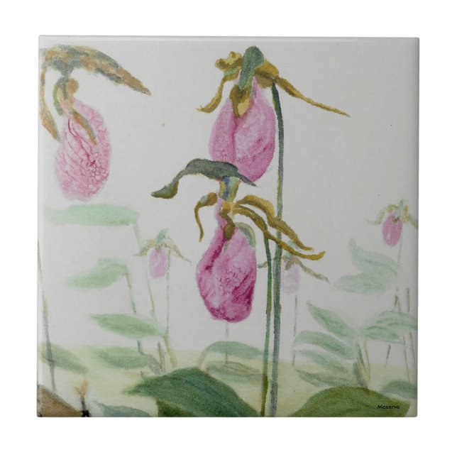 Lady Slippers (Frente)