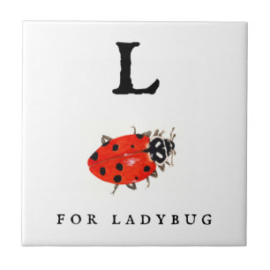 Ladybug