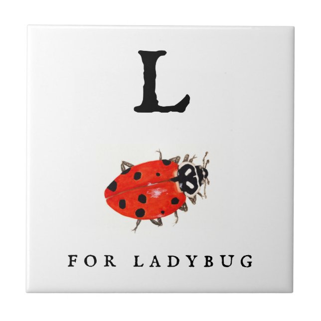 Ladybug (Frente)