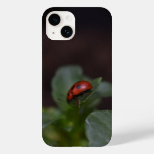Ladybug em Flores