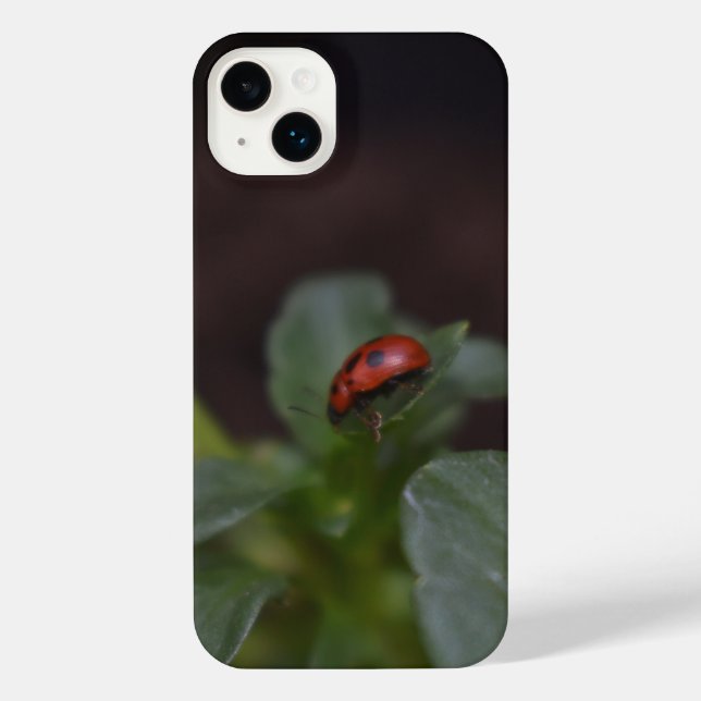 Ladybug em Flores (Verso)