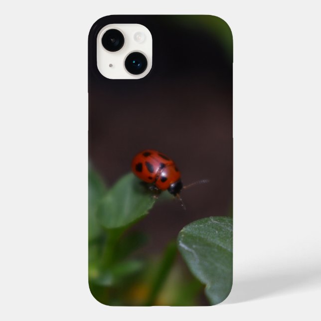 Ladybug em Flores (Verso)